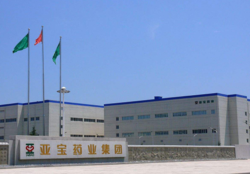 亚宝药业